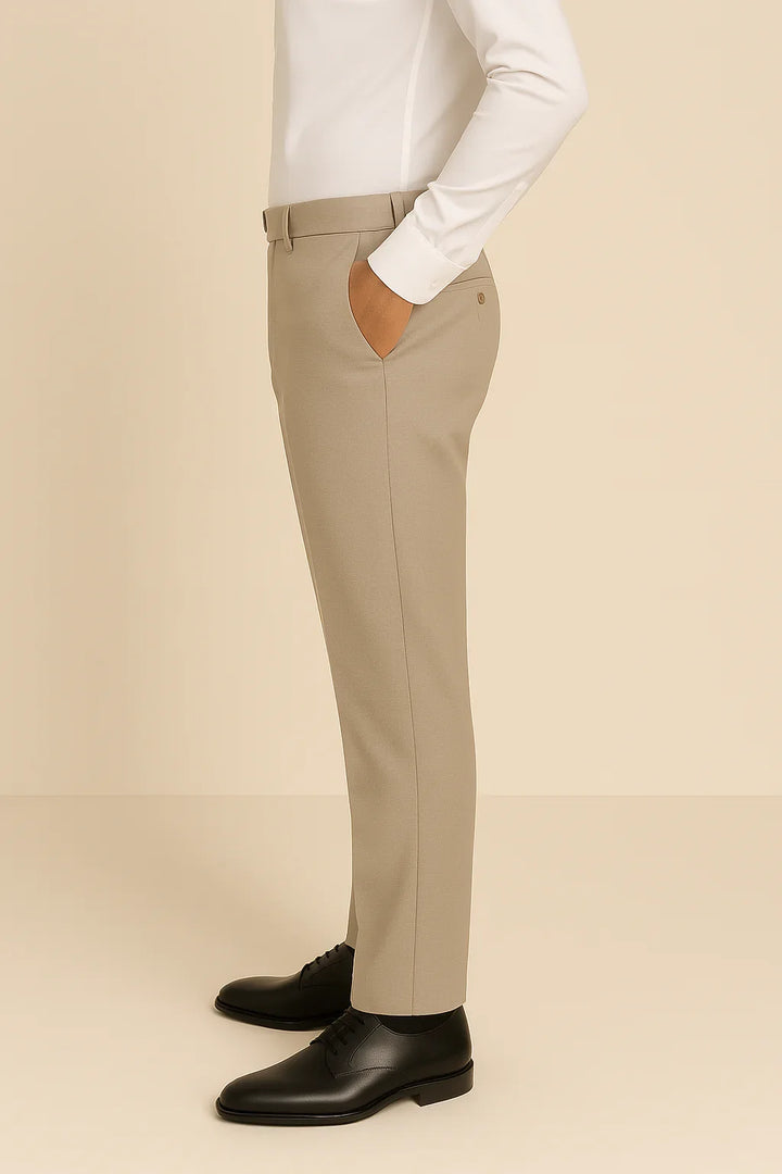 Beige Gray Dress Pant